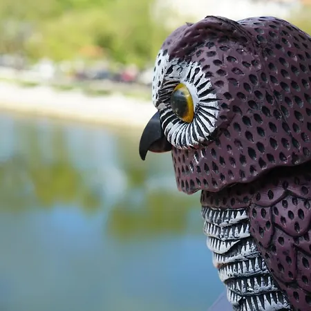 Apartamento Casa Guardiao *